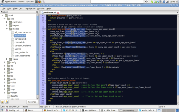 Screenshot of E on my Fedora